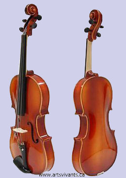 Double violon-alto - Autres instruments à cordes frottées